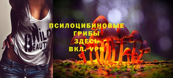 винт Богородицк