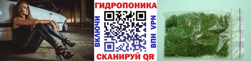Канабис планчик Купить где Красновишерск